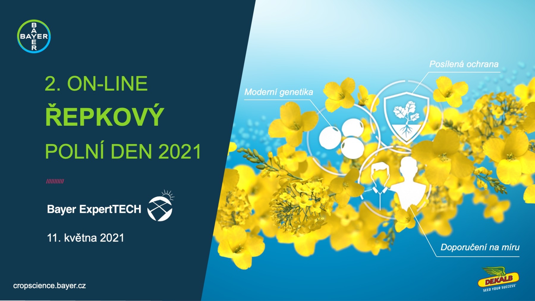 Bayer ExpertTech – 2. online řepkový polní den | TV Zemědělec ...